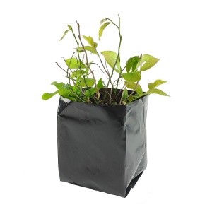 110 + 2 x 50 x 230 mm-es (2 l) polietilén növénykonténer, ültetőkonténer (fóliakonténer)